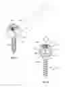 Fig. 11 - GROWING SPINAL RODS AND PEDICLE SCREWS FOR SECURING MULTIPLE SPINAL RODS