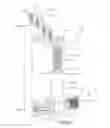 Fig. 24 - Hinged fixation devices for combined upper jaw correction