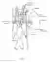 Fig. 09 - Neuromodulation catheters with shafts for enhanced flexibility and control and associated devices, systems, and methods
