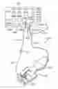 Fig. 01 - SYSTEMS, APPARATUS, METHODS AND PROCEDURES FOR THE NONINVASIVE TREATMENT OF TISSUE USING MICROWAVE ENERGY