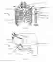 Fig. 08 - Cutting human or animal bone tissue and planning such cutting