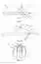 Fig. 05 - GLOTTO-MANDIBULAR ARCHES DEVICE FOR TMJ DISEASE