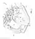 Fig. 02 - Self-ligating bracket