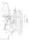 Fig. 09 - Self-ligating bracket