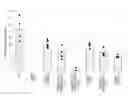 Fig. 01 - Elongated tissue matrices