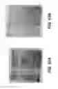 Fig. 11 - Elongated tissue matrices