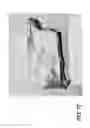 Fig. 13 - Elongated tissue matrices