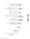 Fig. 16 - Elongated tissue matrices