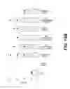 Fig. 17 - Elongated tissue matrices