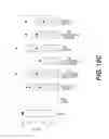 Fig. 18 - Elongated tissue matrices
