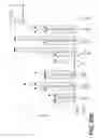 Fig. 25 - Elongated tissue matrices