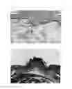 Fig. 05 - PATCH-TYPE ARTIFICIAL SKIN PREPARATION