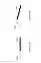 Fig. 04 - Valvuloplasty device