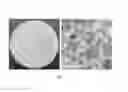 Fig. 04 - Shape-memory-actuated materials for accelerated healing of orthopedic injuries