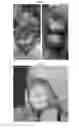 Fig. 03 - MENISCUS FOR JOINT RECONSTRUCTION