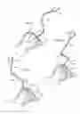 Fig. 32 - Hip joint instrument and method