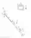 Fig. 14 - Methods Of Treatment Using A Bariatric Sleeve