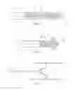 Fig. 22 - REVERSIBLE OCCLUSION DEVICE