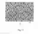 Fig. 08 - Pre-strained laminates and methods for making the same