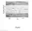 Fig. 67 - Pre-strained laminates and methods for making the same