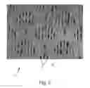 Fig. 03 - ABSORBENT ARTICLES COMPRISING GARMENT-FACING LAMINATES