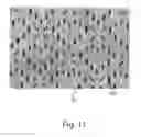 Fig. 08 - ABSORBENT ARTICLES COMPRISING GARMENT-FACING LAMINATES