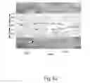 Fig. 67 - ABSORBENT ARTICLES COMPRISING GARMENT-FACING LAMINATES