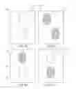 Fig. 77 - ABSORBENT ARTICLES COMPRISING GARMENT-FACING LAMINATES