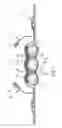 Fig. 06 - Absorbent articles having distribution materials