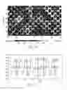 Fig. 18 - ABSORBENT ARTICLES HAVING DISTRIBUTION MATERIALS