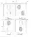 Fig. 77 - PATTERNED APERTURED WEBS, LAMINATES, AND METHODS FOR MAKING THE SAME