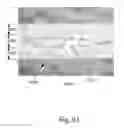 Fig. 67 - Moiré effect laminates and methods for making the same