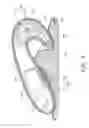 Fig. 05 - MASSAGE DEVICE