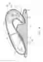 Fig. 05 - PRESSING CONTACT MODULE AND MASSAGE DEVICE USING THE SAME
