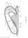 Fig. 05 - MASSAGE DEVICE