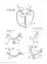 Fig. 10 - ORAL MOUTHPIECE AND METHOD FOR THE USE THEREOF