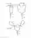 Fig. 18 - ORAL MOUTHPIECE AND METHOD FOR THE USE THEREOF