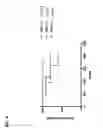 Fig. 05 - Methods and compositions for enhancing skin pigmentation