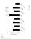 Fig. 16 - Methods and compositions for enhancing skin pigmentation