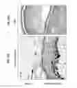 Fig. 22 - Methods and compositions for enhancing skin pigmentation