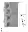 Fig. 34 - Methods and compositions for enhancing skin pigmentation