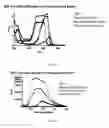 Fig. 09 - Compositions and methods for teeth whitening