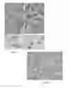 Fig. 03 - ENGINEERED AEROSOL PARTICLES, AND ASSOCIATED METHODS