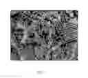 Fig. 25 - ENGINEERED AEROSOL PARTICLES, AND ASSOCIATED METHODS
