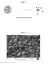 Fig. 02 - METHODS FOR TREATING EPILEPSY OR SEIZURE DISORDERS