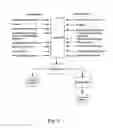 Fig. 09 - Oral pharmaceutical dosage forms