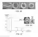 Fig. 04 - COMPOSITIONS FOR TISSUE STABILIZATION