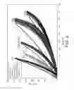 Fig. 07 - COMPOSITIONS FOR TISSUE STABILIZATION