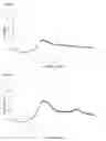 Fig. 13 - COMPOSITION COMPRISING TAPENTADOL IN A DISSOLVED FORM