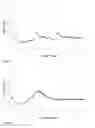 Fig. 19 - COMPOSITION COMPRISING TAPENTADOL IN A DISSOLVED FORM